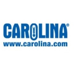 34% Off Carolina Coupons & Promo Codes - March 2021