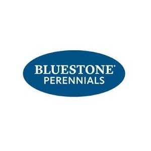 50 Off Bluestone Perennials Coupons Discount Codes 2021