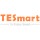 TESmart