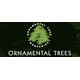 Ornamental Trees