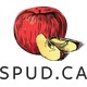 SPUD