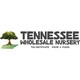 Tennessee Wholesale Nursery