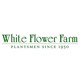 White Flower Farm