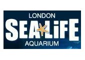Ivisit Sealife Brighton Ivisit England