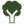 Ornamental Trees