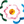 Flowers for Everyone