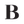 Boxtails