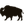 Buffalo Jackson