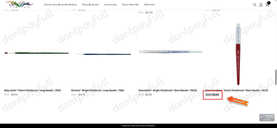 Snapshot of Silver Brush promo: 'Get Artist-quality Acrylic Brushes from $4.4' - captured during verification by DontPayFull on 01-Oct-2026.